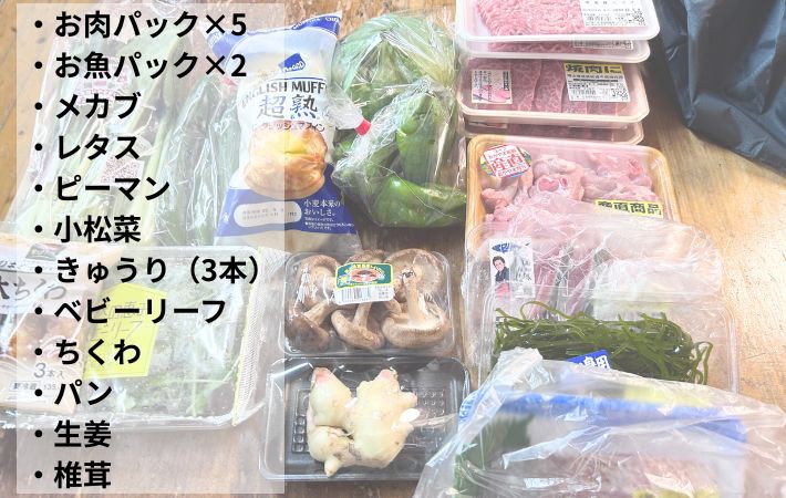 �T�[���X�̃G�R�o�b�O�wREX�V���[�Y�x�̎��[��