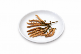 �y�~���đ��z�g��V�h��g�����h�ɋr���A���N�ӎ����ω�������{�Ń��[�g���򂪁u�~���đ��v�𔭔����郏�P