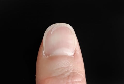 �u�܂�����ăe���V�����_�_������c�v�g�܂̕�C�ށh������Ή����I�u�W�F���Ŏ�����܂ɂ̕⋭�ɂ��v