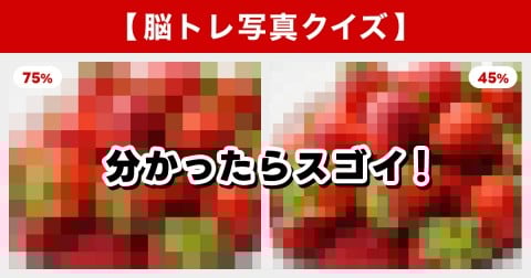 �y�]�g���ʐ^�N�C�Y�z�t��������u�^���Ԃȕ󕨁v�I���́g�c�u�c�u�h�̐��̂����j��邩�H