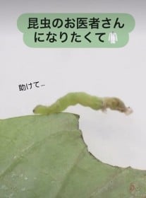 �u�D�������E�v�u���������邱�Ƃ��ł���l������Ȃ�āv�c �s���Z�b�g���g�����@�ׂȁg��p�g�@�����Ȗ����~�������悪20.7���Đ�