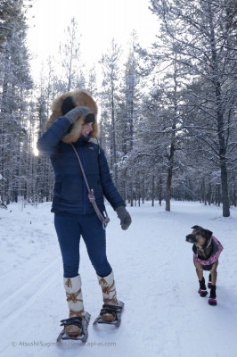 マイナスにも耐えうるカナダの 防寒グッズ を紹介 ペット犬の防寒グッズも Oricon News