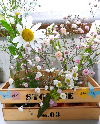 100均アイテムで花を染めてみよう 夏休みの自由研究にも 子どもと楽しむ切り花染色 Oricon News