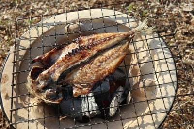 炭火で魚を上手に焼くには 身から焼く それとも皮から焼く Oricon News