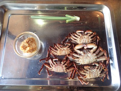 岩場に潜む赤い忍者 ショウジンガニ を採って食す Oricon News 岩場に潜む赤い忍者 ショウジンガニ を採って食す Oricon News