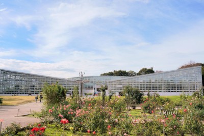 神代植物公園の紅葉は晩秋まで見頃 東京でバラの花見と紅葉狩り Oricon News