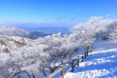 手軽に雪山世界へ 三重 御在所岳 の樹氷パノラマが美しすぎる Oricon News