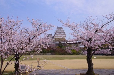 姫路城「御城印」の新デザインは榊原家！姫路城御城印帳も好評