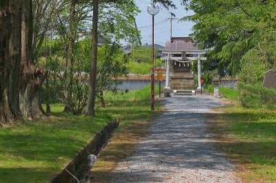 グルメの超絶料理！群馬県板倉町・雷電神社のご利益付ナマズ | ORICON NEWS