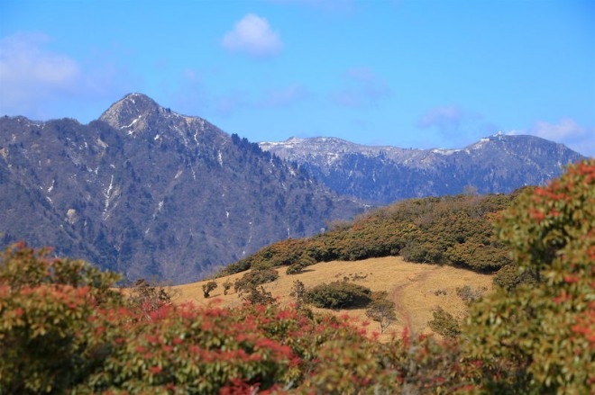 山頂には天空の鳥居も！鈴鹿「入道ヶ岳」へパノラマ登山 | ORICON NEWS