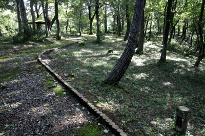 弥生から古墳時代の集落変遷をたどる！新潟県「斐太遺跡群」 | ORICON NEWS