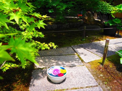 写真:古都の U助