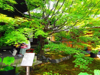 写真:古都の U助