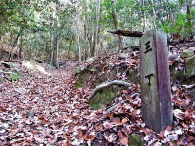 播磨国守護・赤松氏の栄光と悲劇！兵庫県姫路市「置塩城跡」 | ORICON NEWS