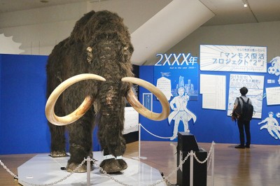 マンモス展が大阪で開催 愛 地球博のユカギルマンモスも登場 Oricon News