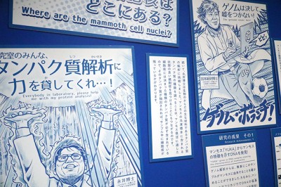 マンモス展が大阪で開催！愛・地球博のユカギルマンモスも登場