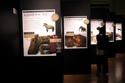 EXPO 2005 AICHI 愛地球博 ポスター マンモス 国際博覧会 非売品