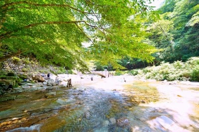 川遊び　小学生　盗撮 愛媛・面河渓は水質良好！川遊びできる絶景ドライブスポット | ORICON NEWS