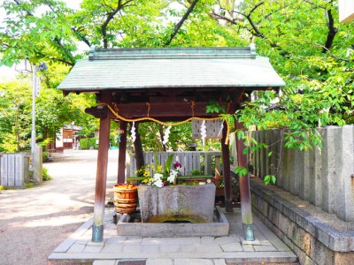 遊び心あふれる素敵な花手水 大阪府高槻市 野見神社 Oricon News