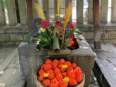 遊び心あふれる素敵な花手水 大阪府高槻市 野見神社 Oricon News