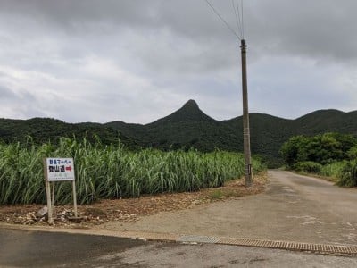 感動必至の石垣島 野底マーペー 登山 360度の絶景がすごい Oricon News