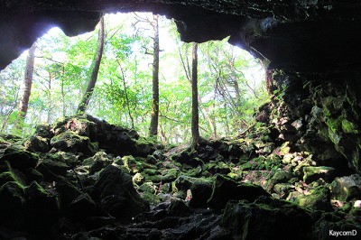富士山麓の洞窟探検 西湖コウモリ穴と竜宮洞穴の神秘の世界 Oricon News