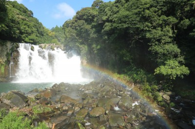 中村左洲　 滝の風景 Waterfall - Kyoto National Museum KNM Collection Database