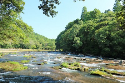 秘瀑 台高山脈 珠玉の滝 川崎 実 Amazon.co.jp: 秘瀑 台高山脈 珠玉の渓 : 川崎 実: 本