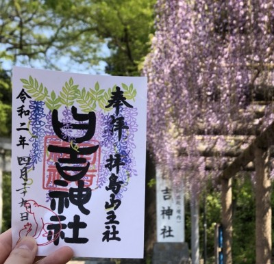 季節ごとに変わるカラフルな御朱印が人気！東京「拝島日吉神社