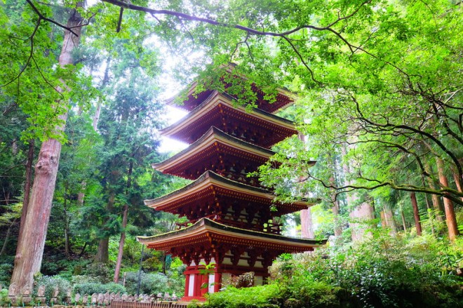 【直筆色紙】女人高野 室生寺大僧正 智等「耕觴詠自娯」 土門拳全集〈5〉女人高野室生寺 | 土門 拳, 伊藤 知巳 |本