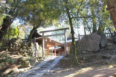 猫好きと城マニアが集まる 栃木県 唐沢山神社 って Oricon News