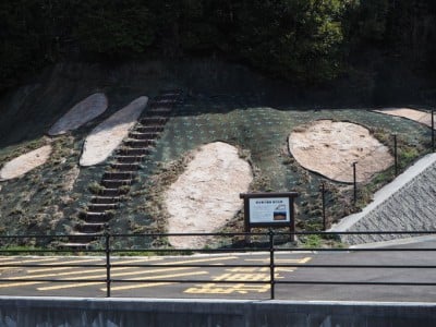 古代出雲の王が眠る！「出雲弥生の森」で巡る四隅突出型墳丘墓 | ORICON NEWS