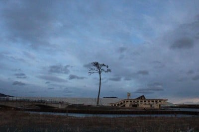 遺されたのは 伝えるため 陸前高田市の震災遺構を目に焼き付けろ Oricon News