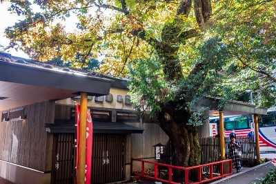 か かしわ餅が 箱根神社 権現からめもち の幸せご利益 Oricon News