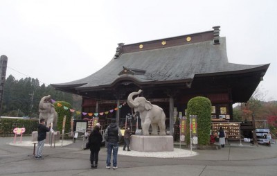 長福寿寺 10周年 金箔吉ゾウくん像-eastgate.mk