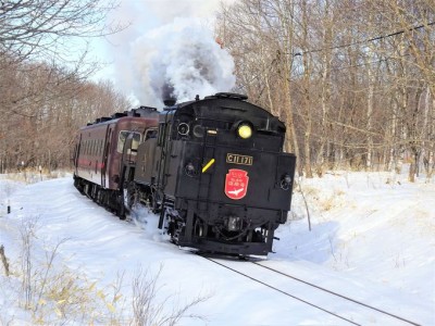 冬の湿原号　サボ SL冬の湿原号2025】サボ JR北海道 車内限定販売品 25周年記念グッズ