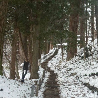 長野 戸隠神社 中社 奥社参道 冬こそ行きたい 雪に包まれる神域 Oricon News