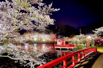 桜の絶景を郷土色豊かに楽しめる 千葉県の花見名所５選 Oricon News