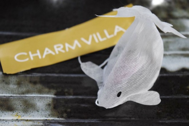 CHARM VILLA 金魚ちゃんティーバッグ 台湾限定 金魚ちゃんティーバッグ｜京都｜ | 全ての商品 | CHARM VILLA