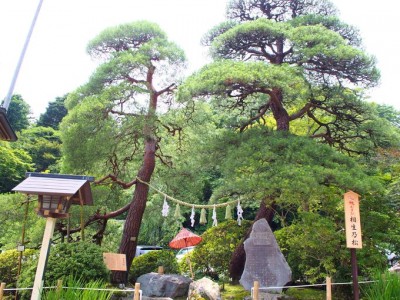 埼玉長瀞「宝登山神社」とロープウェイで奥宮へ！噂の黒いお守りも