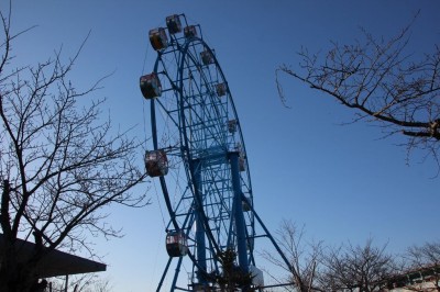 入園料無料！宇部市「ときわ公園」は自然とアートが融合する公園