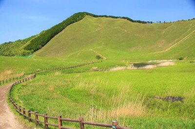 すすきの見頃も長い 桜 紅葉も 奈良 曽爾高原 Aのハイキング Eltha エルザ