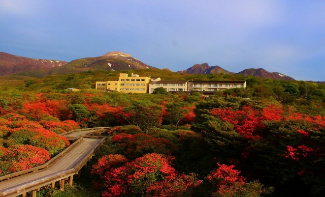 圧巻の見応え 那須高原 八幡のツツジ群生地 は かおり風景100選 にも選出 Oricon News