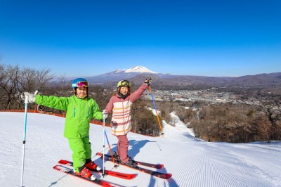 リフト券10枚☆土日可！リフト券☆プリンススノーリゾート☆9ヶ所