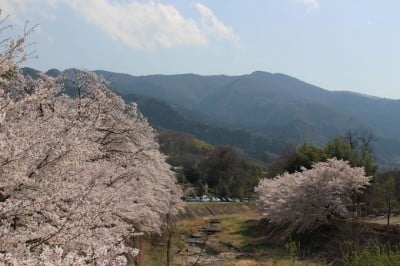 城下町の面影と街を流れる雄川堰の清流！群馬県甘楽町小幡 | ORICON NEWS