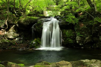 流れる風が気持ち良い栃木「県民の森」で滝と渓流散歩を楽しもう