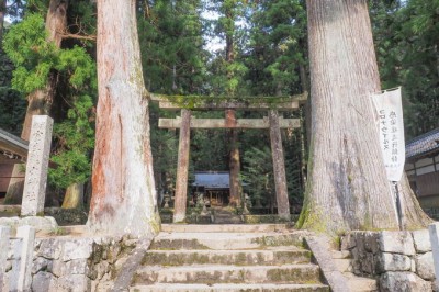 龍神様を祀るパワースポット 奈良 室生龍穴神社と吉祥龍穴 Eltha エルザ