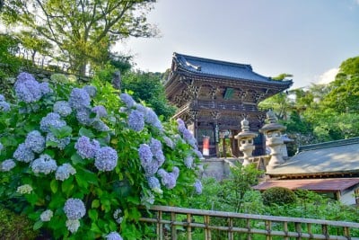 奈良ネット～水彩画で旅する、奈良の寺社～