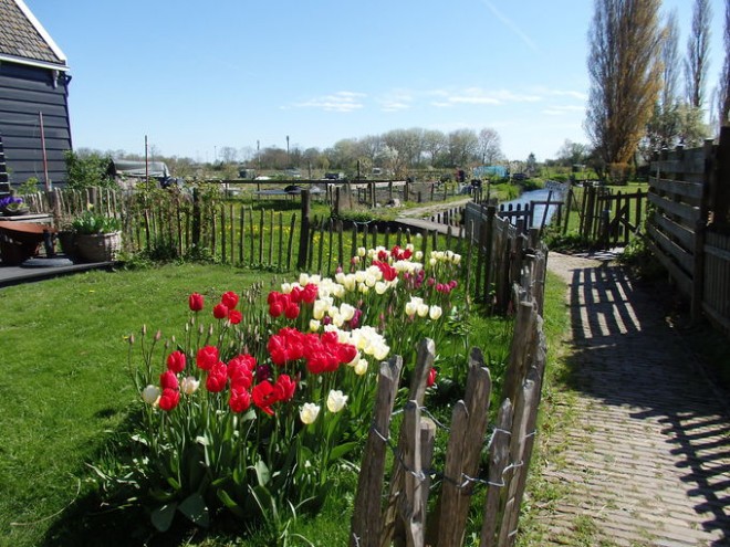 マルケル湖に浮かぶオランダの小さな島「マルケン島」｜eltha(エルザ)