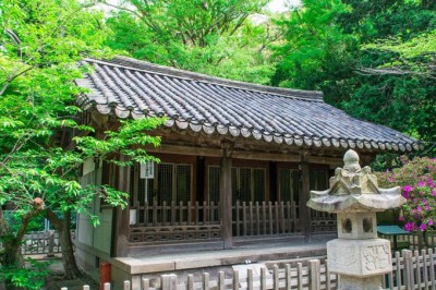 鎌倉大仏 の鎮座する寺 高徳院 の見どころはここだ Oricon News